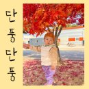 금마어린이집 이미지