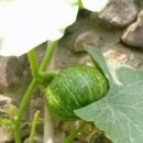 숲속나라어린이집 이미지