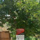 영월약수터 오토캠핑장 이미지