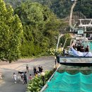 한솔이네농장 | 고양이가 머리를 자르면? 미용미용!!