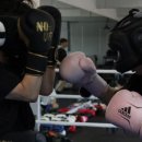 아지트복싱 이미지