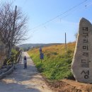 과학남로 이미지