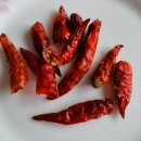 땡초떡볶이 - 용산구 청파로45길 22 | 땡초떡볶이