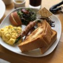 아콘트리 이미지