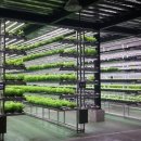 스마트 농산물 유통과 마케팅 실무 이미지