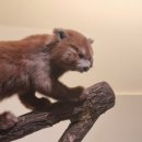 (주)본초마루 | 🇬🇧 영국여행 런던 에든버러: 위키드 뮤지컬, 해리포터 스튜디오, 오아시스/이매진드래곤스 콘서트 [25-1...