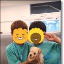 퍼피메이트 안심분양센터 동탄 강아지분양 | 대전강아지분양 애정해