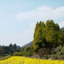 일운약수터 이미지