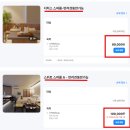 메종 드 펫 | 전주애견동반감성숙소 가성비 9만원대 자쿠지 전주숙소 메종드온유