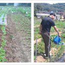 박진농장 이미지