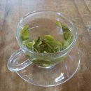 다원피자 이미지