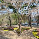 마북근린공원 이미지