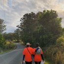 재욱 팜 이미지