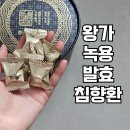 피로 회복을 위해 왕가 녹용 발효 침향환 실제로 먹어본 내돈내산 솔직 후기