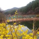 정골농장 이미지