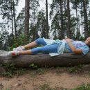 대숲향기 이미지