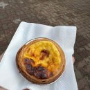 월드밸리 | 반짝반짝 겨울 에버랜드❄️ 판다월드 로스트밸리 솔직후기 (영하지만 괜찮아, 큐패스는 필수)