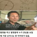 농부왕 Daum카페