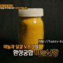 만물상 마늘청 만들기,마늘의 효능,마늘난황 만들기,수박흑마늘 만들기,수박흑마늘 만드는법 이미지