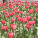 비산대교 앞 이미지