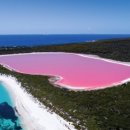 미들아일랜드(middle island) 이미지