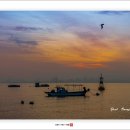 아침바다 이미지