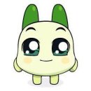 (주)탐라그린 이미지