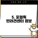 포멀독 반려견센터 이미지