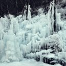 새해 그아침 1월 4일 비슬산 얼음축제...쓸친소...그대를 기다립니다.... 이미지