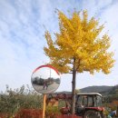 개똥이네 이미지