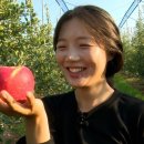 삼단지농장 이미지