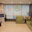 채비뇨기과의원 이미지