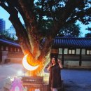 샘물크리닝빨래터세탁소 | [밤의 풍경 속으로] 종로 모던 한옥마을 도보 여행- 삼청공원 북촌 계동길 익선동 서순라길 창덕궁앞