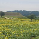 연천 호로고루 이미지