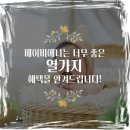 의왕아리따움 | 진심 귀여운 의왕 오십일 ♥.♥ 촬영