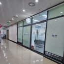 선천성 시신경형성이상(ssoh) 환자가 알려주는 SSOH