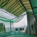 청천새마을금고골프연습장 이미지