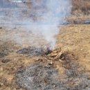 분천농장 이미지