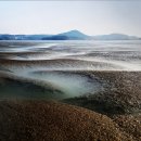 바람따라 이미지