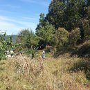 광현농장 이미지