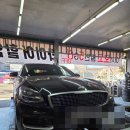 콘티넨탈 타이어 경기총판 | K9 새 신발 신겨주기! F1타이어 본점에서 콘티넨탈 타이어 교체한 리얼 후기