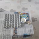 선우리싸이클링 Daum카페
