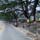 하나로코사마트 이미지