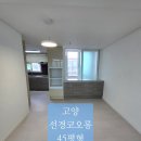 선경세탁 | 일산 7단지선경코오롱아파트 45평 이사청소 후기｜구축 부분인테리어 후 청소