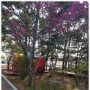 해솔길캠핑장 네이버블로그