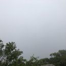 망대곰탕