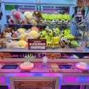 미니돌(MINI DOLL) | &lt;홍대역 새로 오픈한 인형뽑기방&gt; MINI DOLL : 미니돌