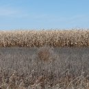 전경자 농장 이미지