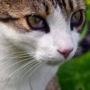 기장i동물의료센터 이미지