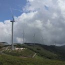 농촌메밀막국수 이미지